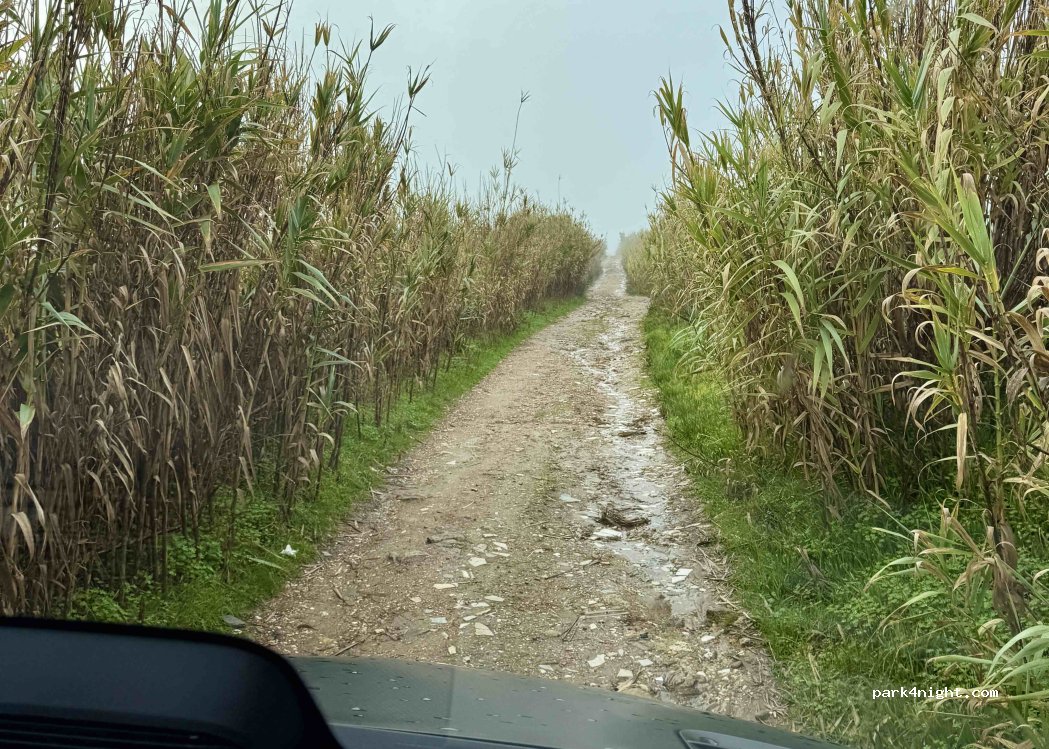 São João das Lampas, thumbnail 5