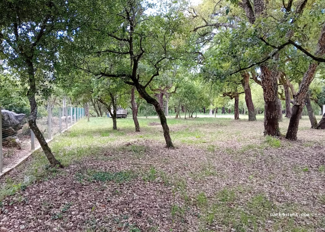 Rio Maior, 62 Rua Padre Cura thumbnail 4