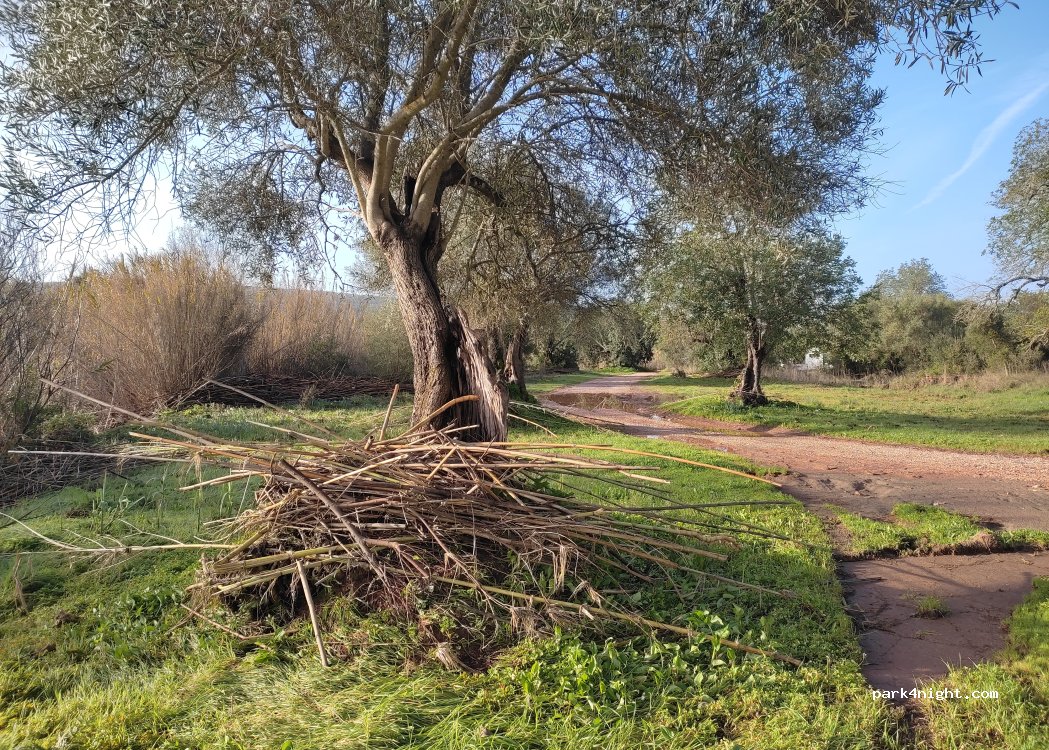 Loulé, 39A Rua dos Cesteiros thumbnail 4
