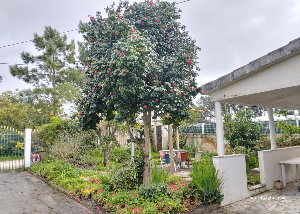 Rua A, Fernão Ferro thumbnail 4