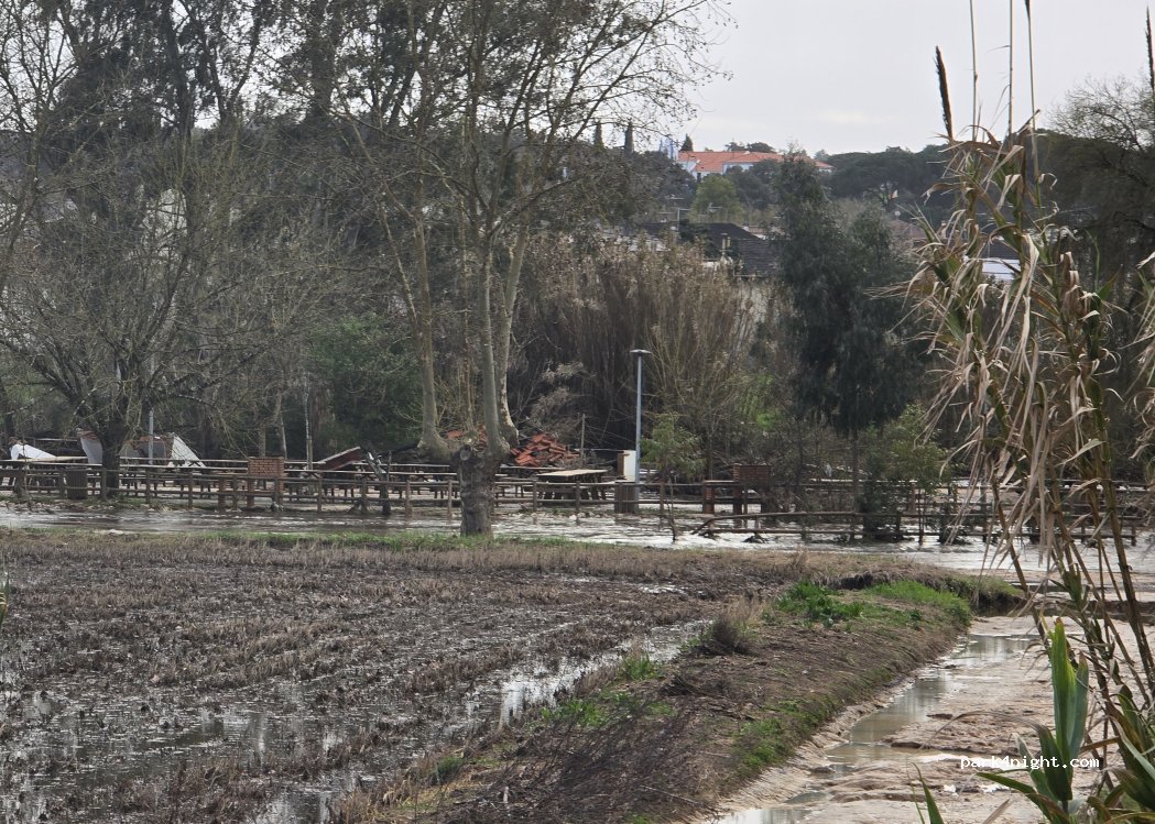 Almeirim,26 R. de Baixo thumbnail 5