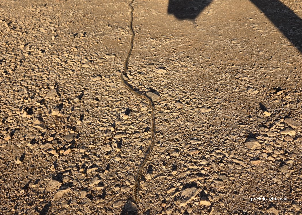 Budens,  N125 thumbnail 4