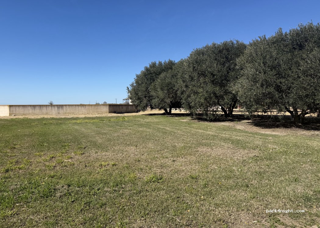 Domaine Sainte Cécile « Canard des rizières » - Photo 3