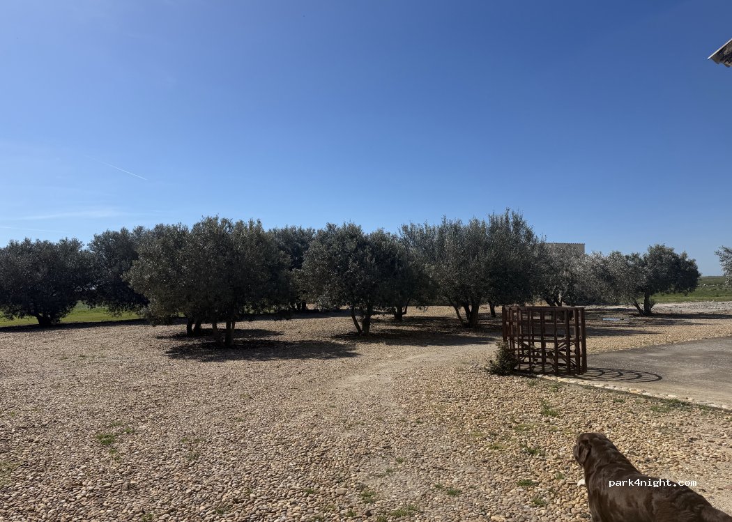 Domaine Sainte Cécile « Canard des rizières » photo 3
