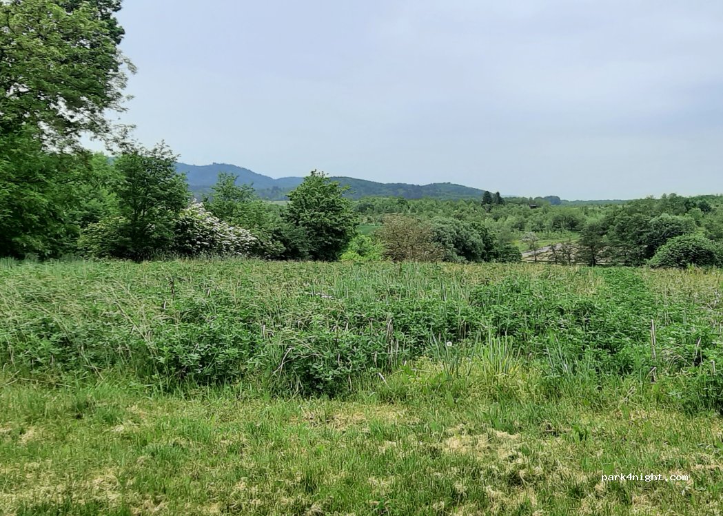 Place shot