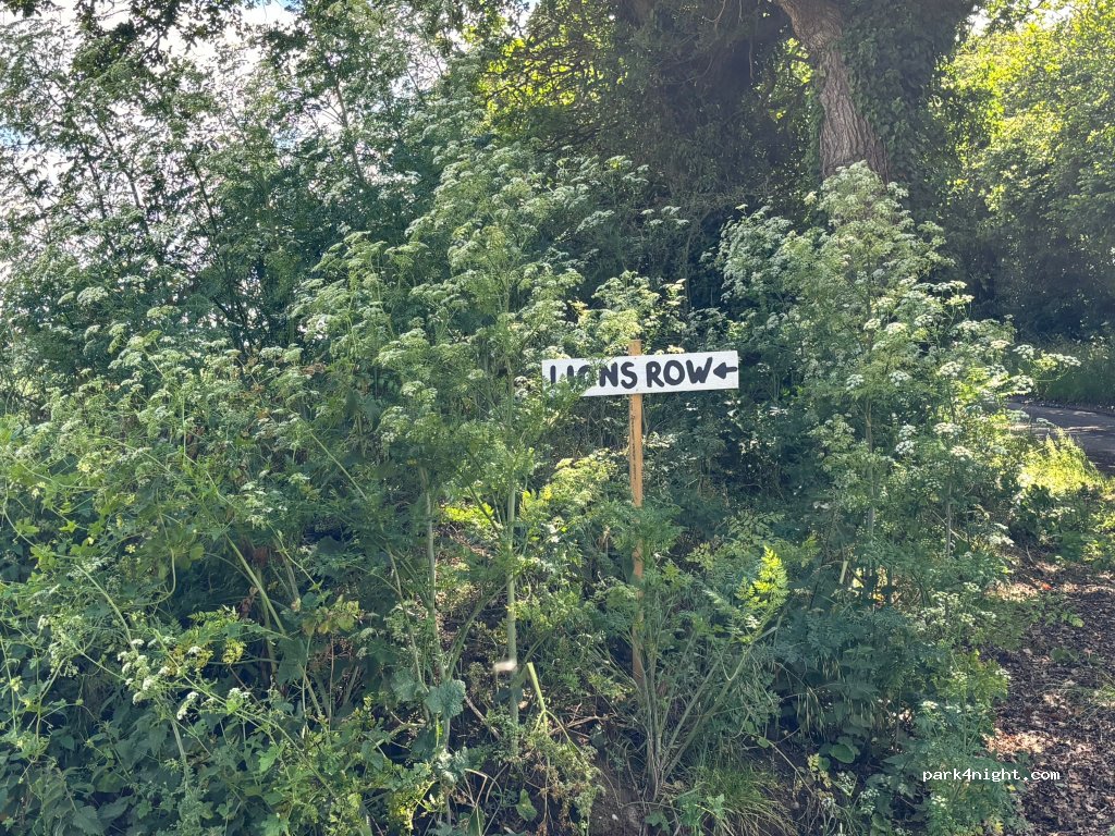 Place shot