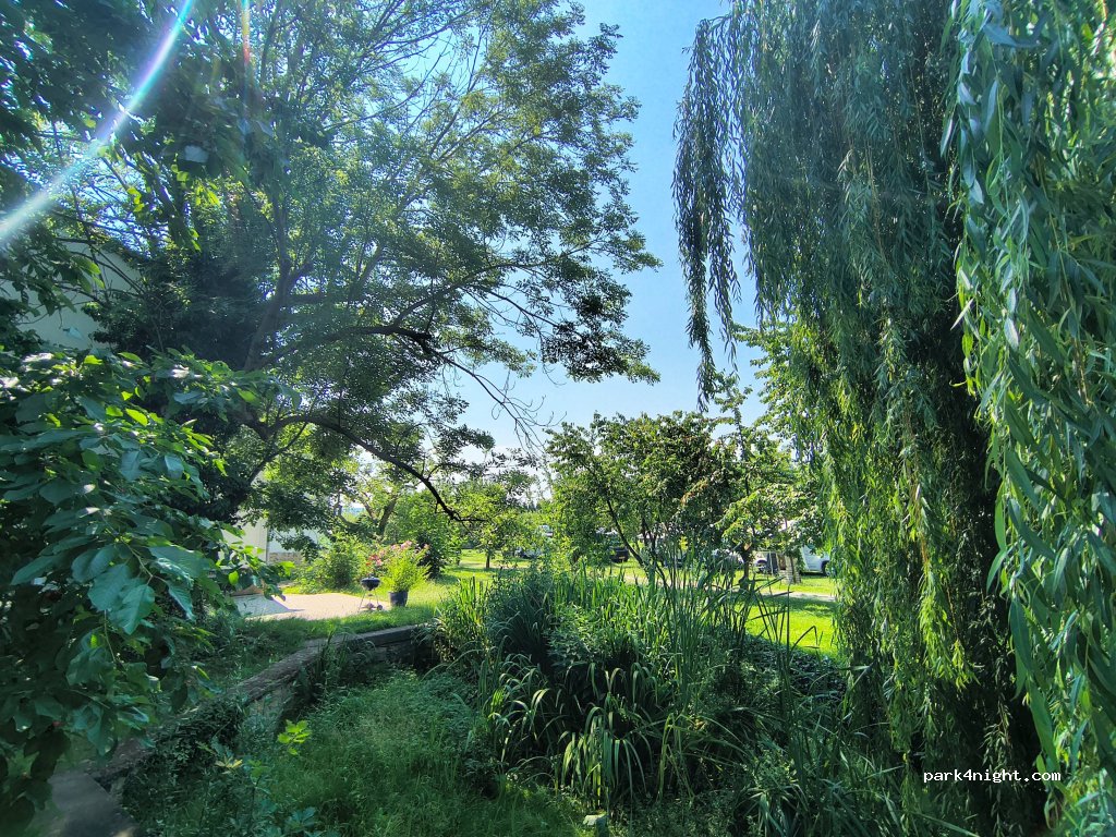 Place shot