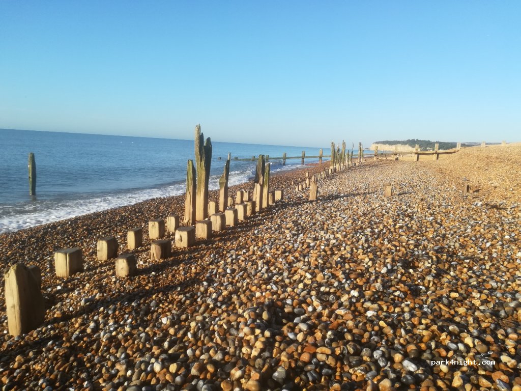 are dogs allowed on pett level beach