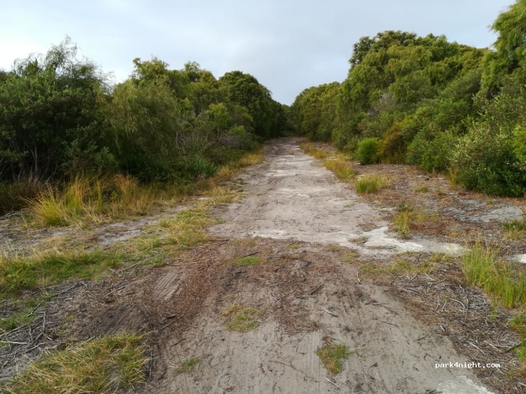 Lieu en pleine nature, Little Grove, 21 Albert Street, City of Albany