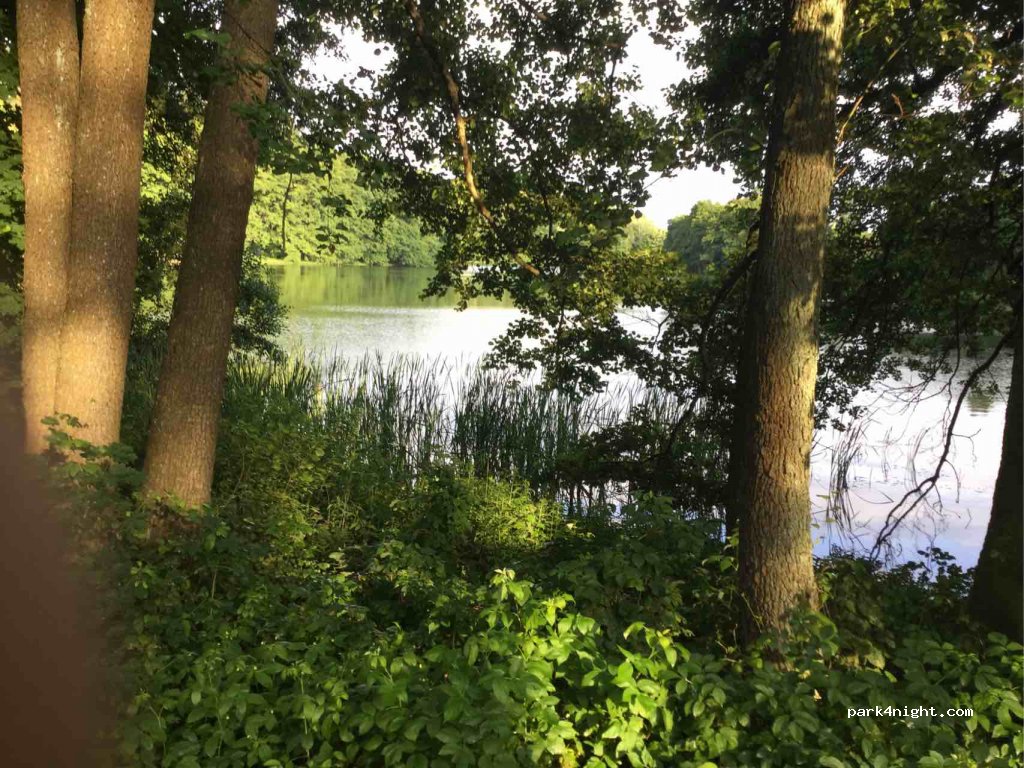 Łukta - Olsztyńska photo 2