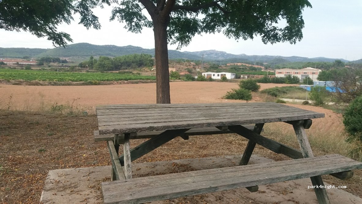 Cabra del Campo - TP-2311 photo 2