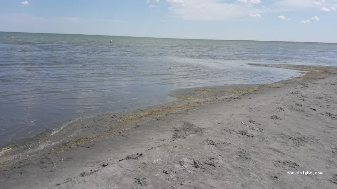 undefined photo 3