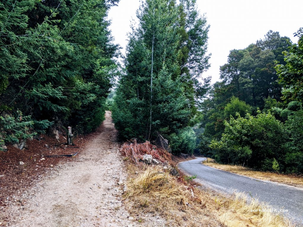 ,  Estrada Florestal thumbnail 3