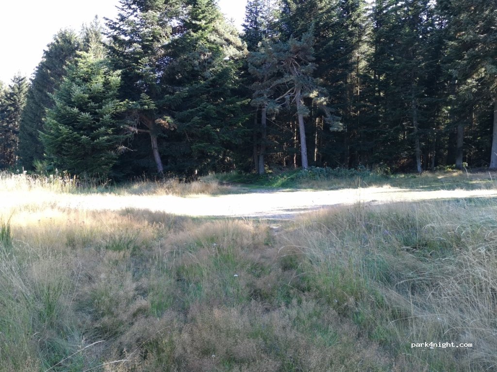 Saint-Régis-du-Coin - D74 photo 4