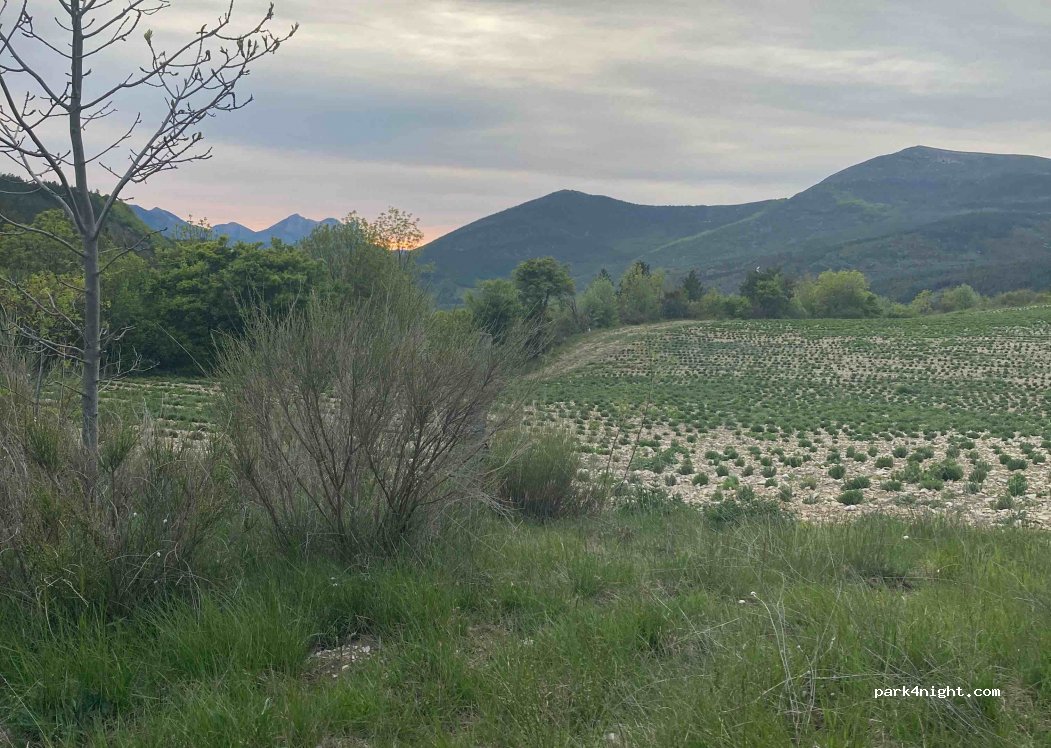Chalancon - D135 photo 2