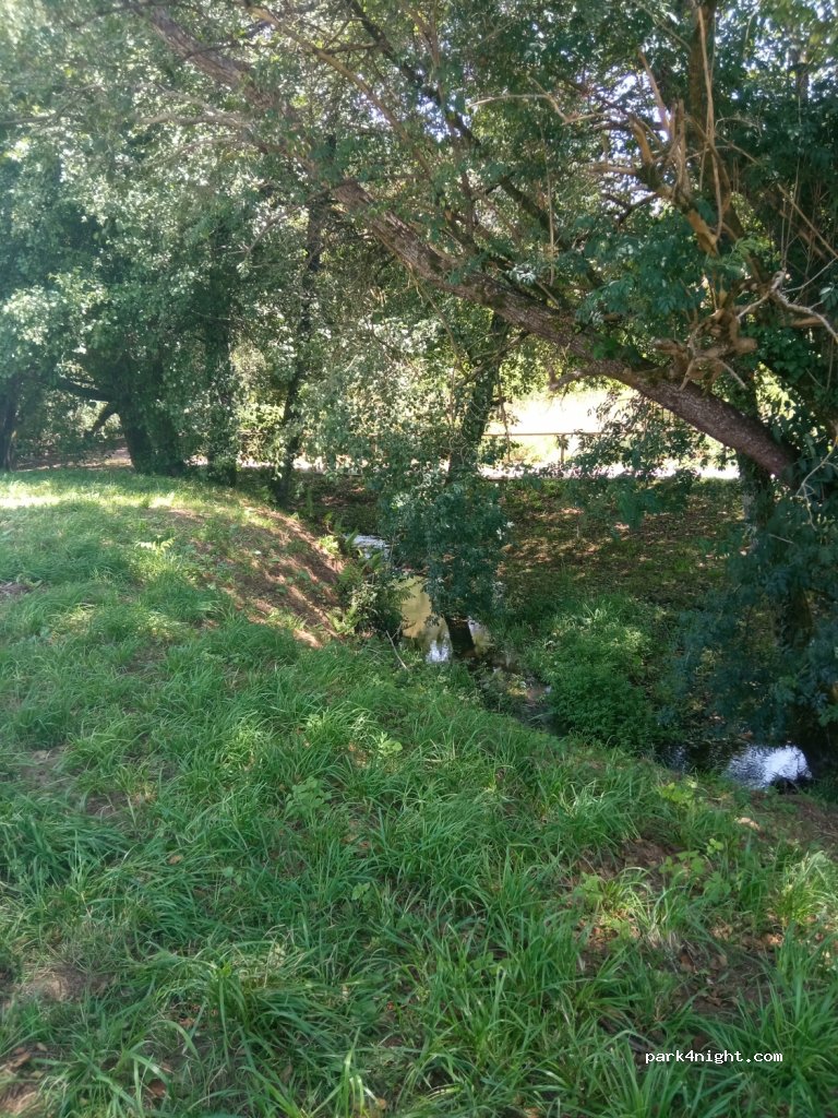 A Cañiza, 30 Rúa Vilanova thumbnail 4