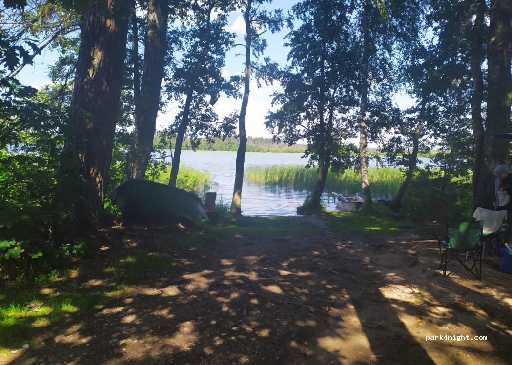 Jabłoń photo 2