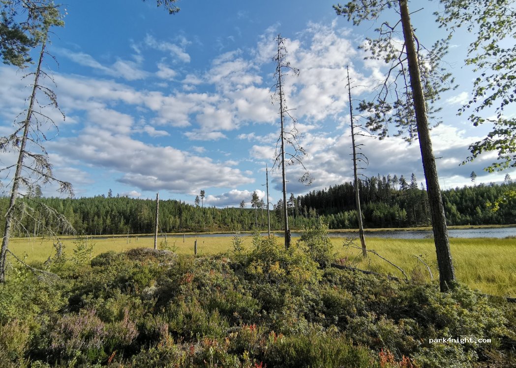 Lesjöfors - 26 photo 2