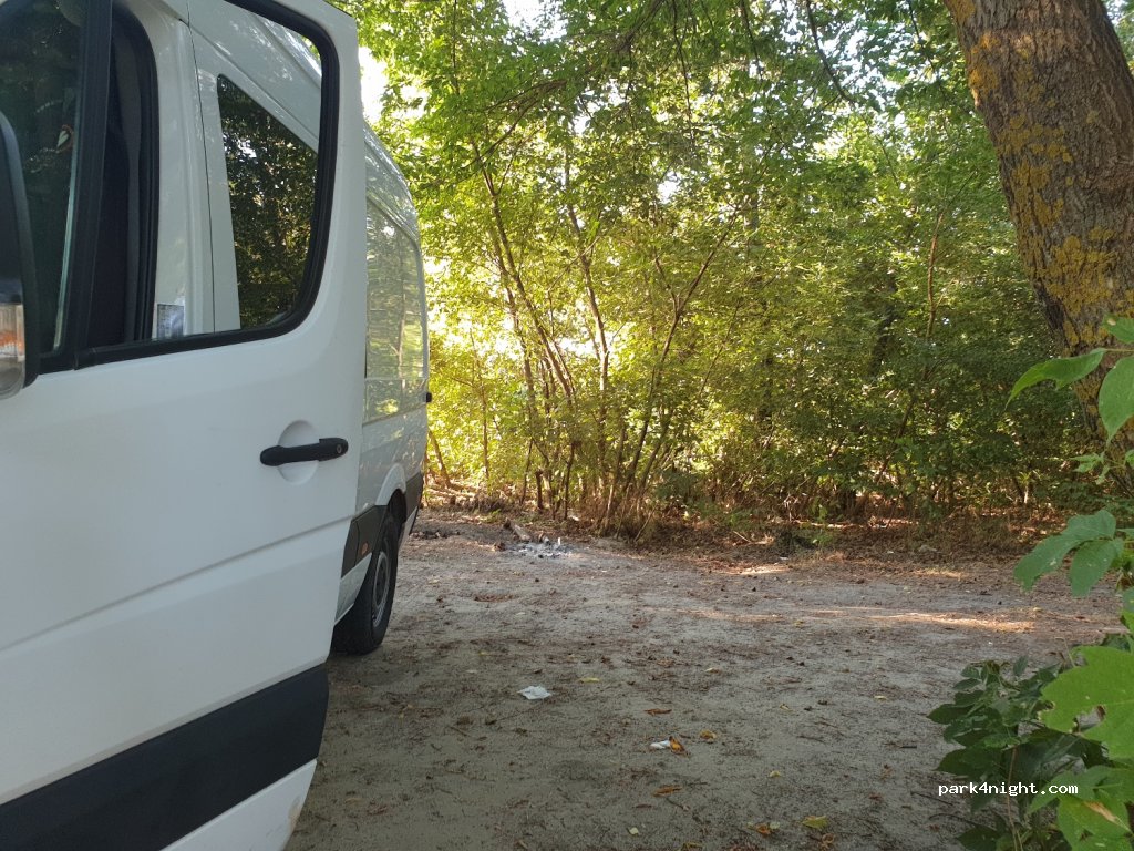 undefined photo 3