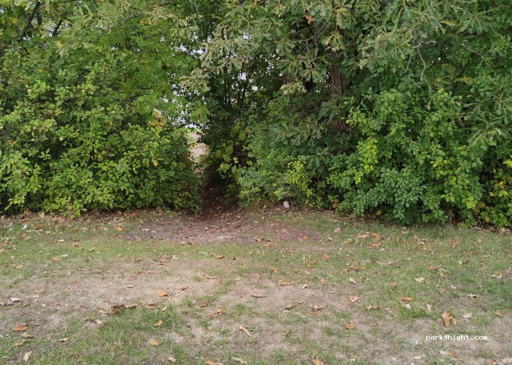 (P9A 2V3) Fort Frances - 1005 River Road West photo 4