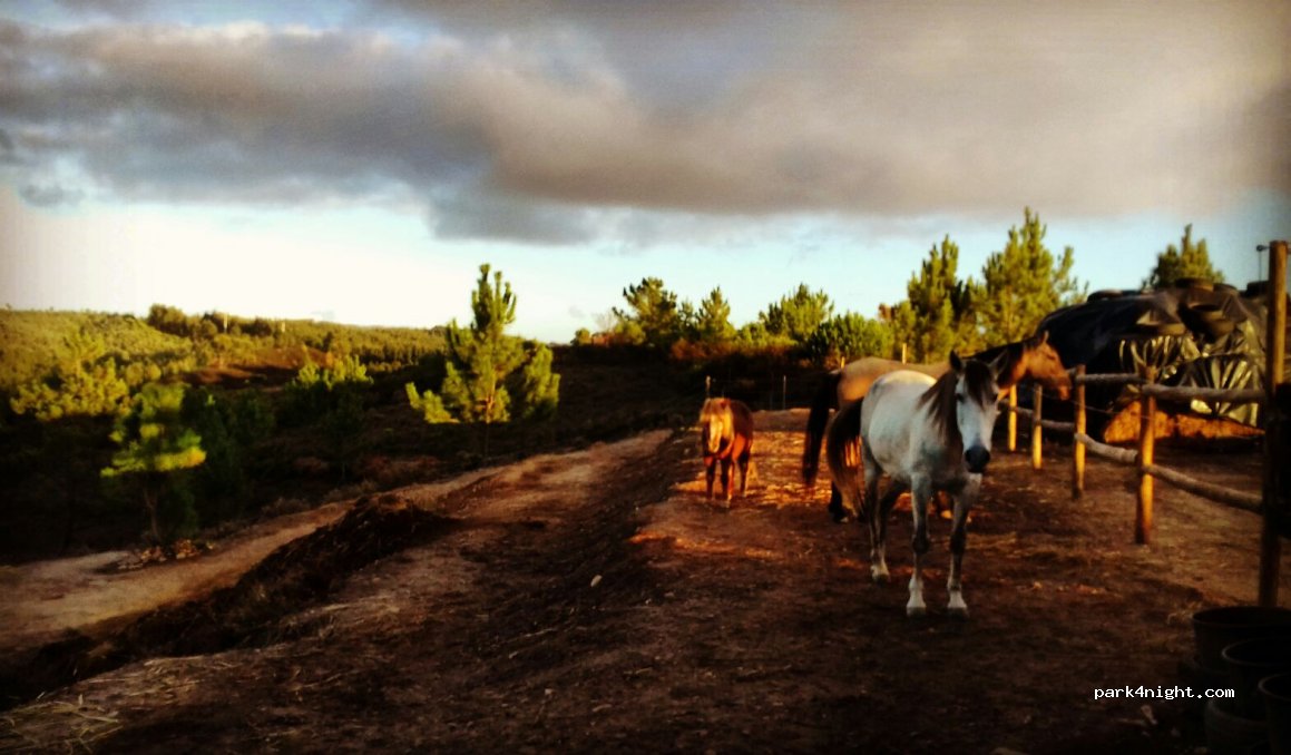 Casas novas da Palmeira thumbnail 2