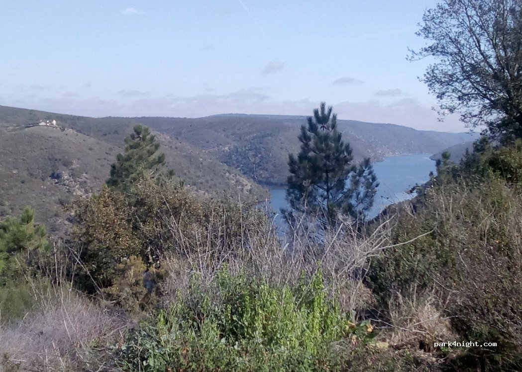 Cedillo,EX-375 thumbnail 3