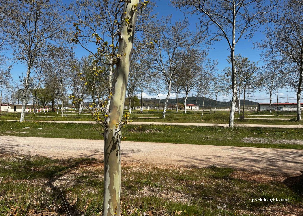 Cáceres‎,Carr. de Mérida thumbnail 2