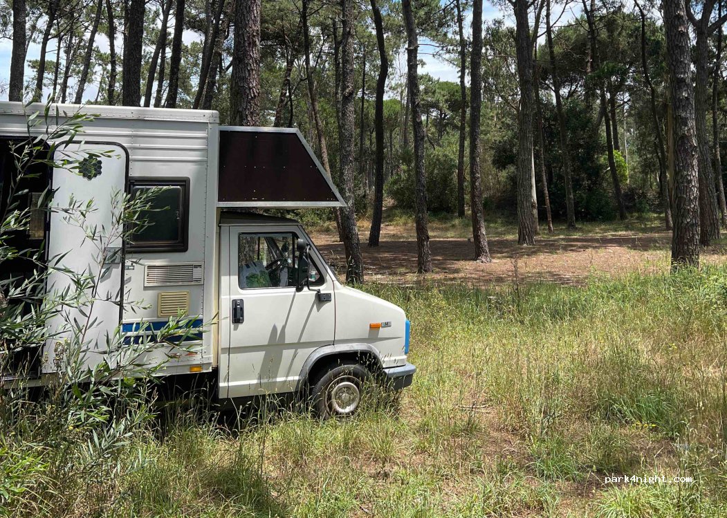 Apúlia, 79 Rua do Açude - photo 1