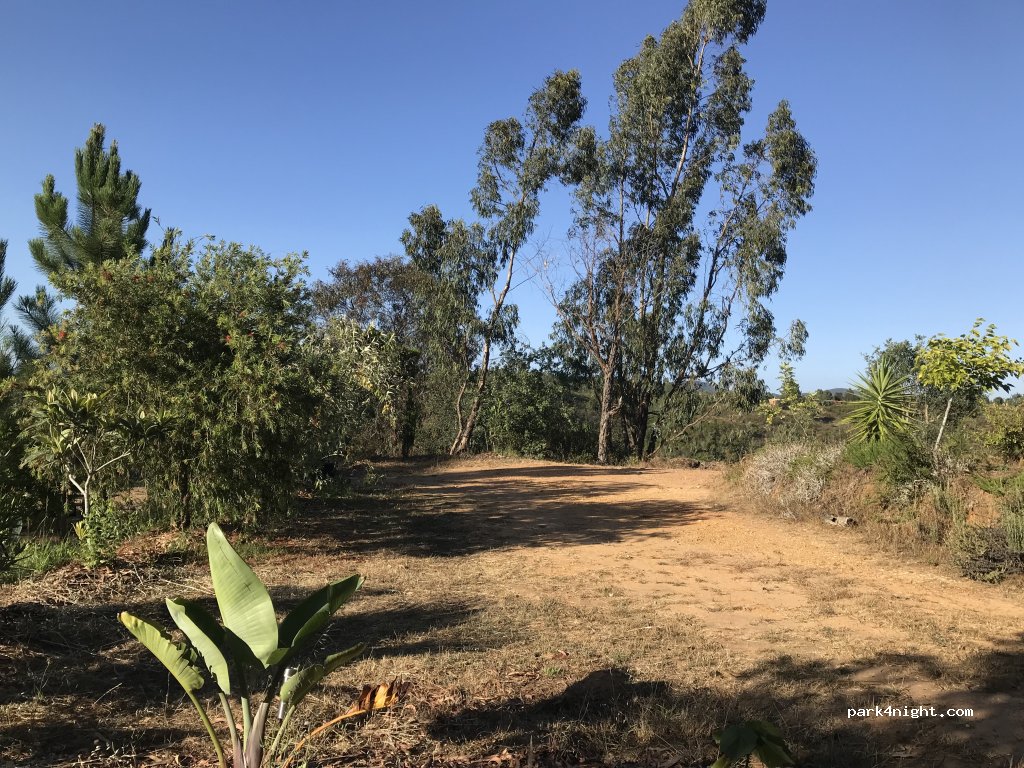 Casas novas da Palmeira thumbnail 4