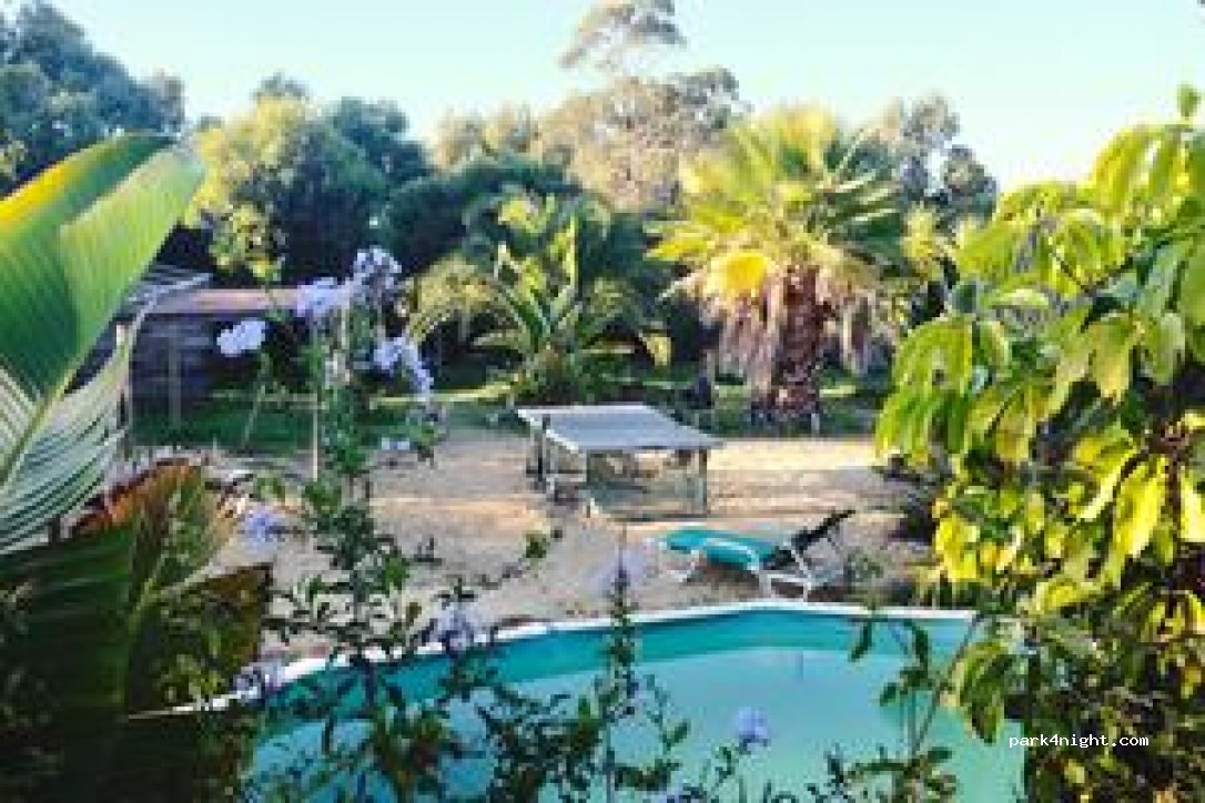 Casas novas da Palmeira thumbnail 6