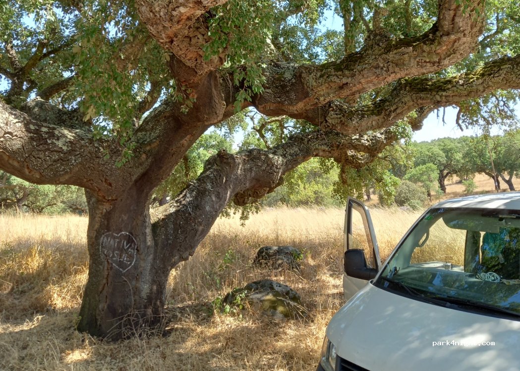 Santa Sofia,A6 thumbnail 3